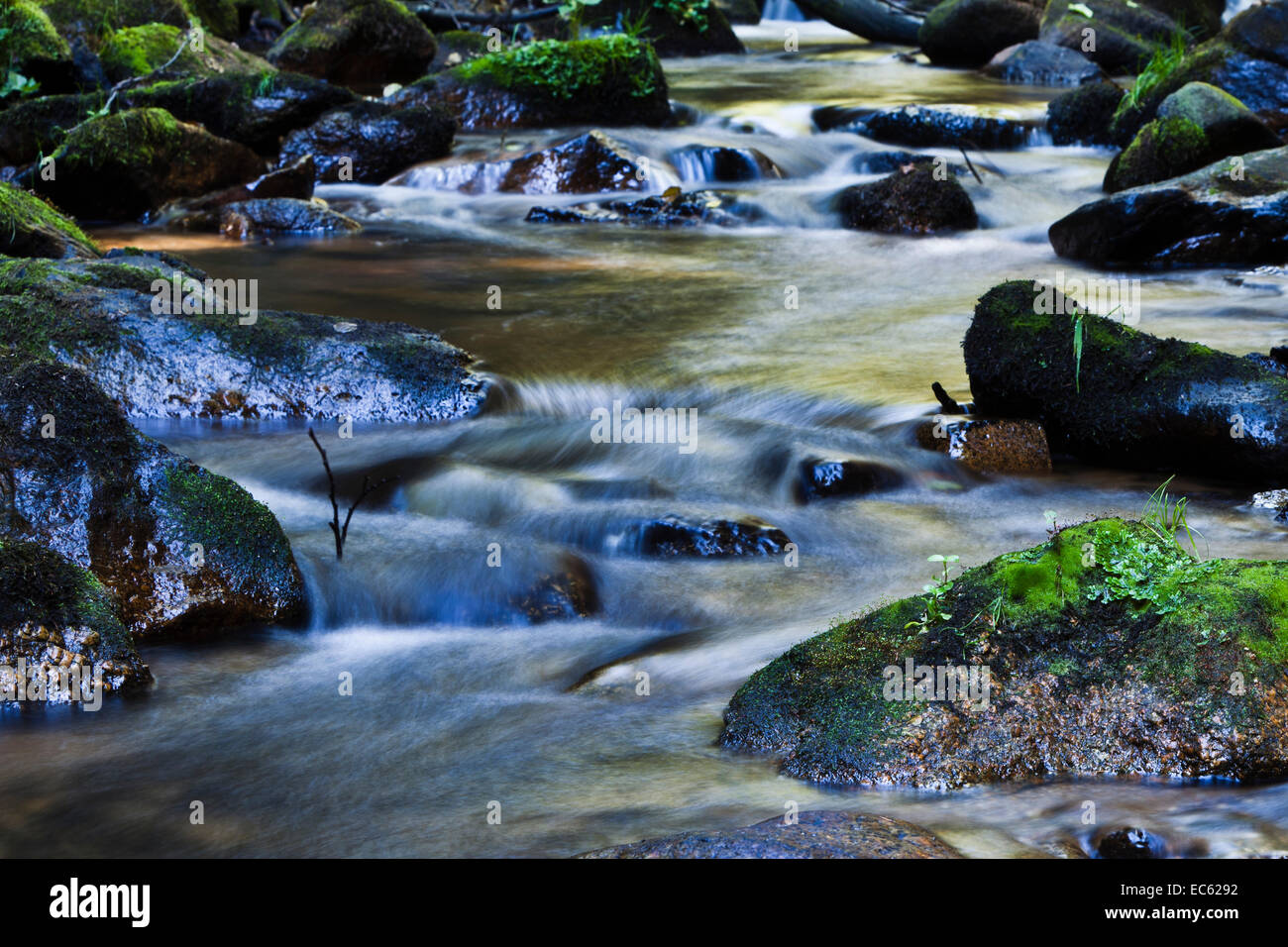 Stream mit fließend Wasser an den Logan in der Waldviertel Region, Niederösterreich, Österreich Stockfoto