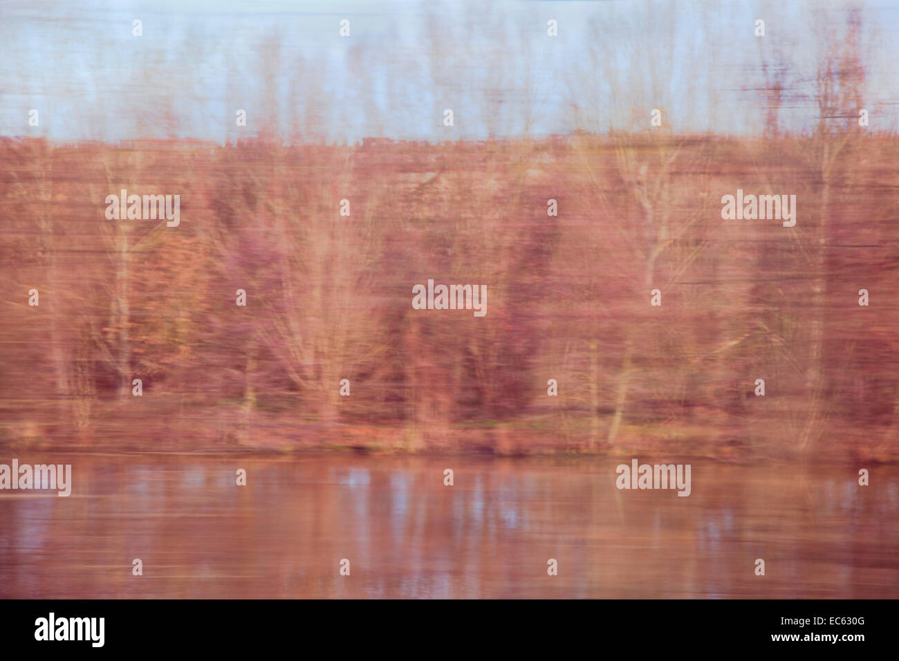 bewegende Bäume, Landschaft aus dem Zug, Blur, Baum, Stockfoto