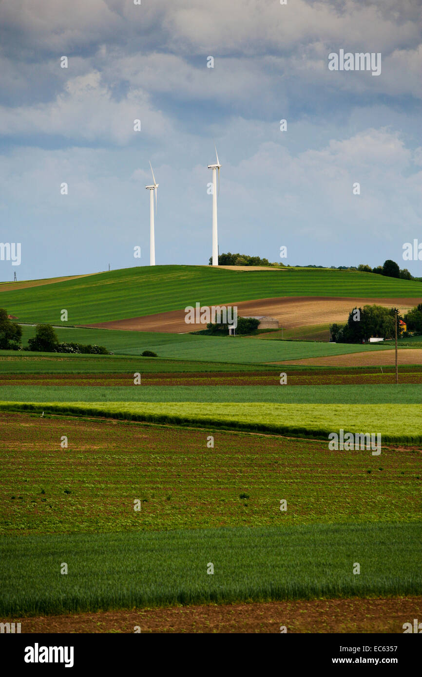 Wind-Engine auf einem Hügel in Niederösterreich, Österreich, Europa Stockfoto