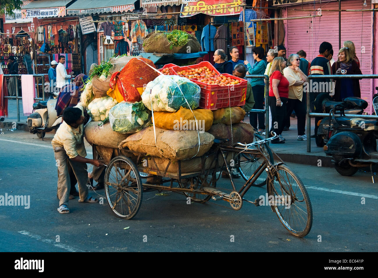 https://c8.alamy.com/compde/ec641p/rikscha-voll-beladen-mit-obst-und-gemuse-nordindien-indien-asien-ec641p.jpg