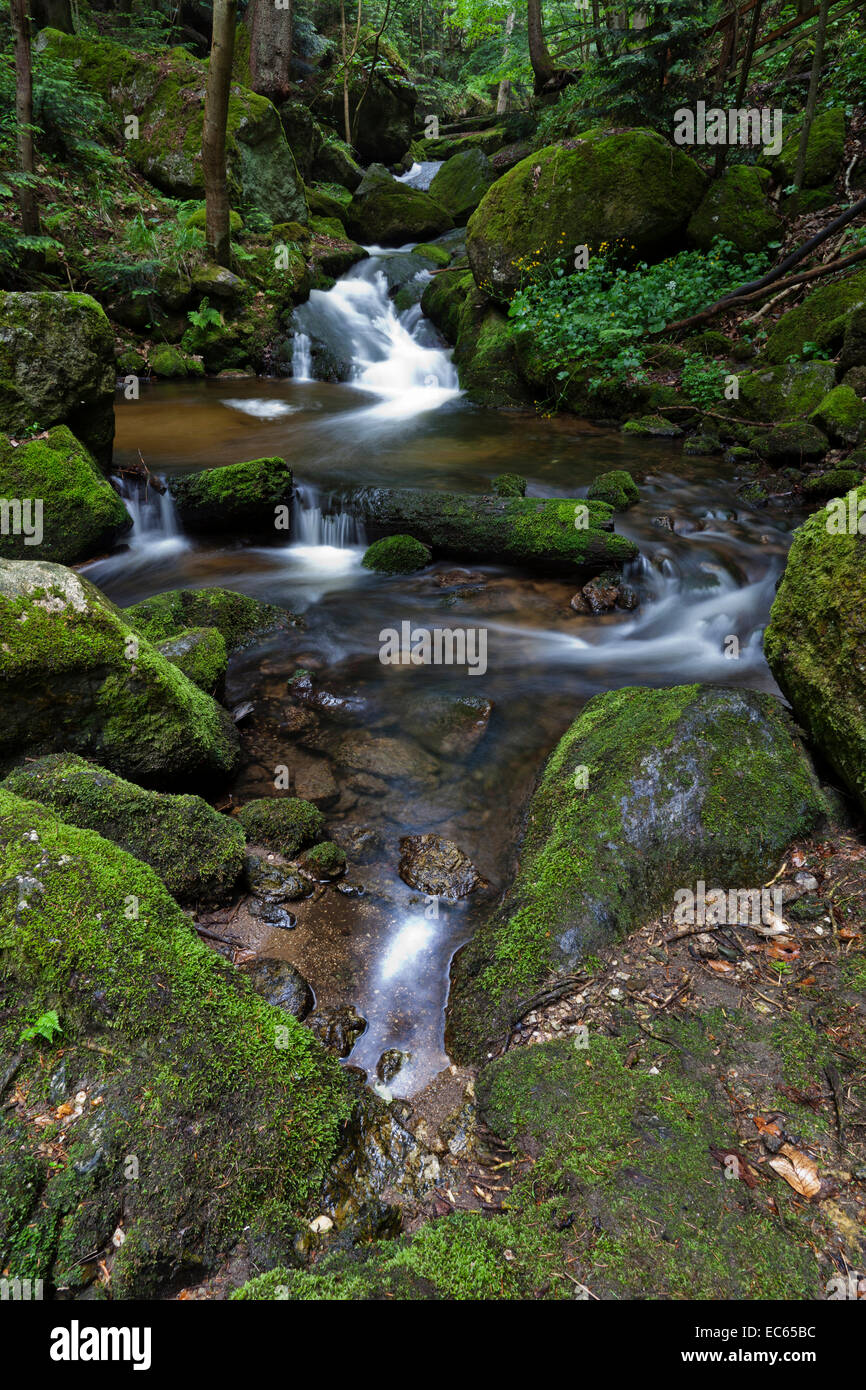 Ysperklamm-Druidenweg, Region Waldviertel, Niederösterreich, Österreich Stockfoto