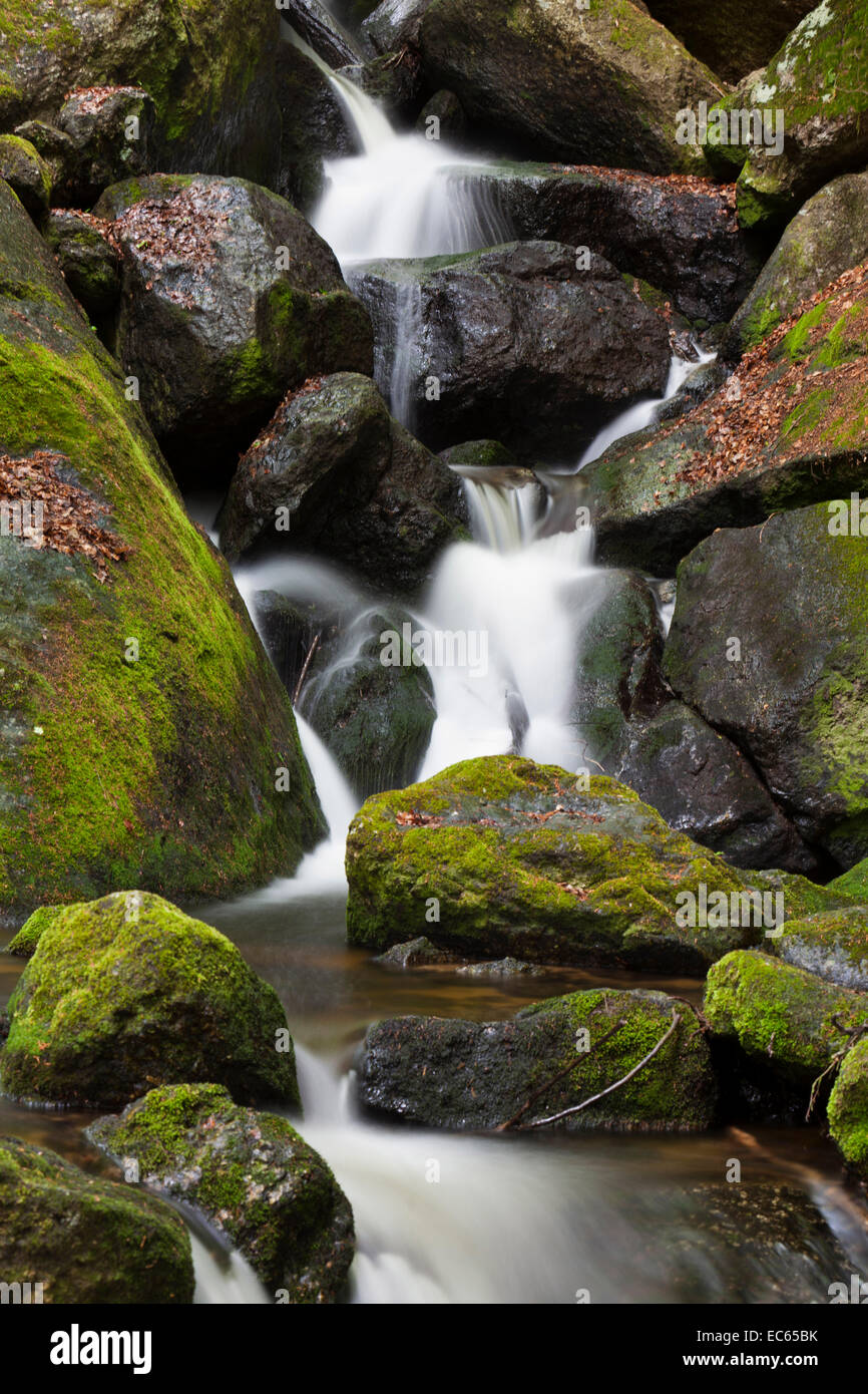 Ysperklamm-Druidenweg, Region Waldviertel, Niederösterreich, Österreich Stockfoto