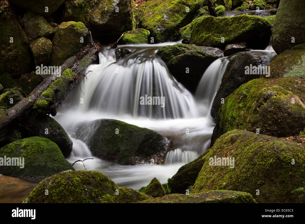 Ysperklamm-Druidenweg, Region Waldviertel, Niederösterreich, Österreich Stockfoto