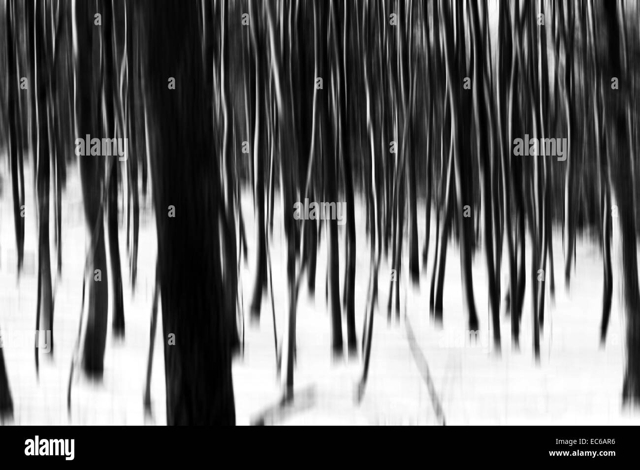 Abstrakte Winterwald Stockfoto