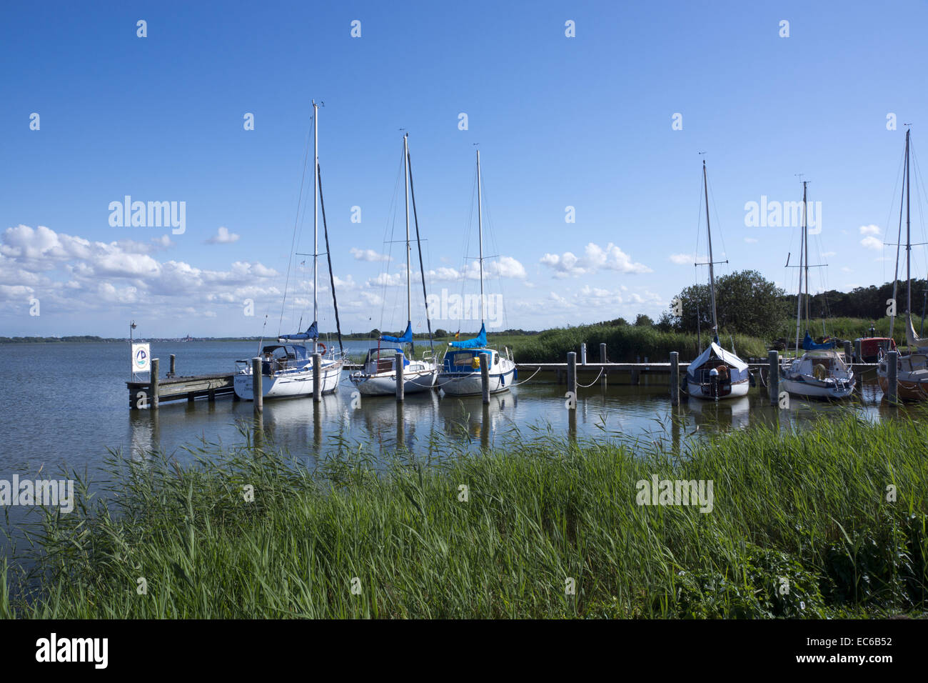 Nationalpark westlichen Pommern Boddenlandschaft in der Nähe von Dierhagen Saaler Bodden Landkreis Vorpommern-Rügen Mecklenburg-Vorpommern Stockfoto