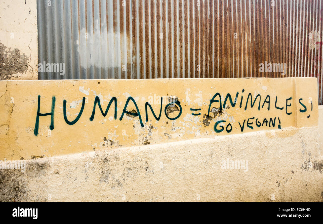 Tierrechte Graffiti an der Wand in Spanien "Humano = Animales Go Vegan" Stockfoto