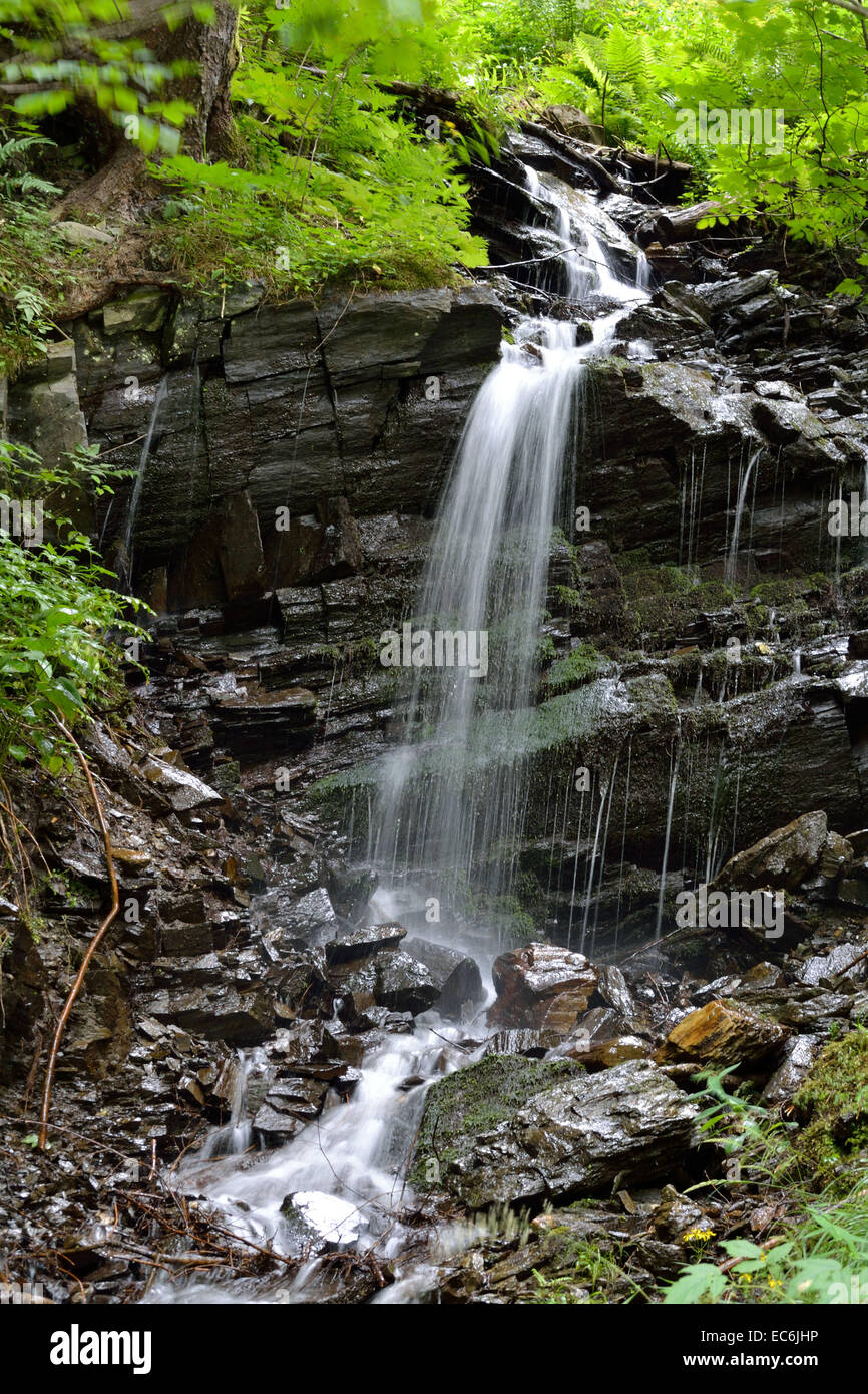 natürlichen Lauf eines Baches mit Wasserfall Stockfoto