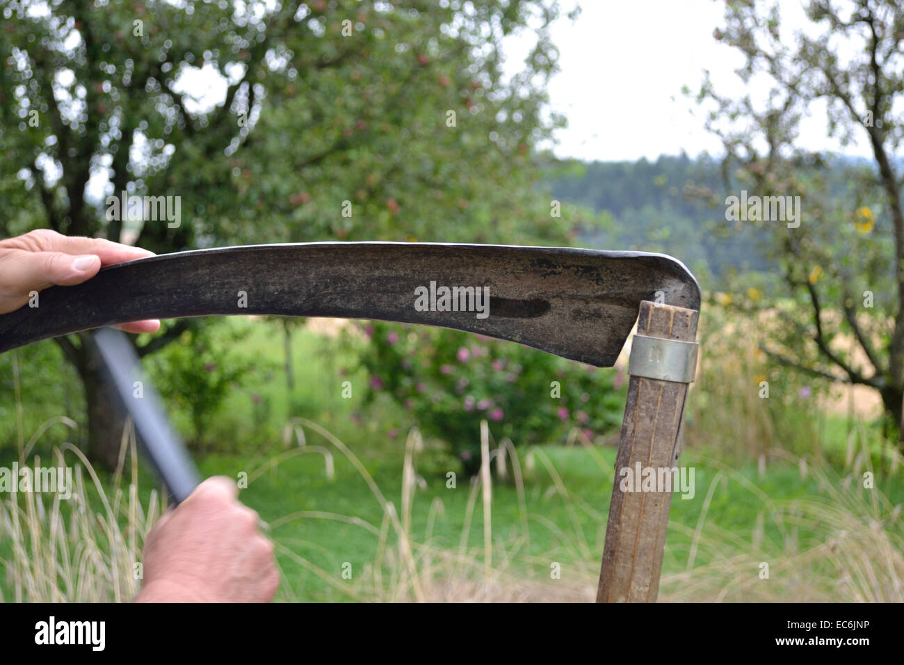 Person schärft Sense Klinge Stockfoto