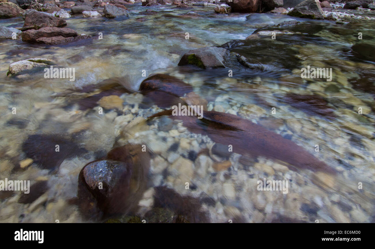 Vermigliana Bach im Val di Sole, Italien Stockfoto