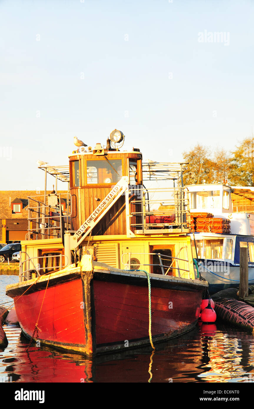 Freizeit-Boot auf Orton Broad, Norfolk, UK Stockfoto