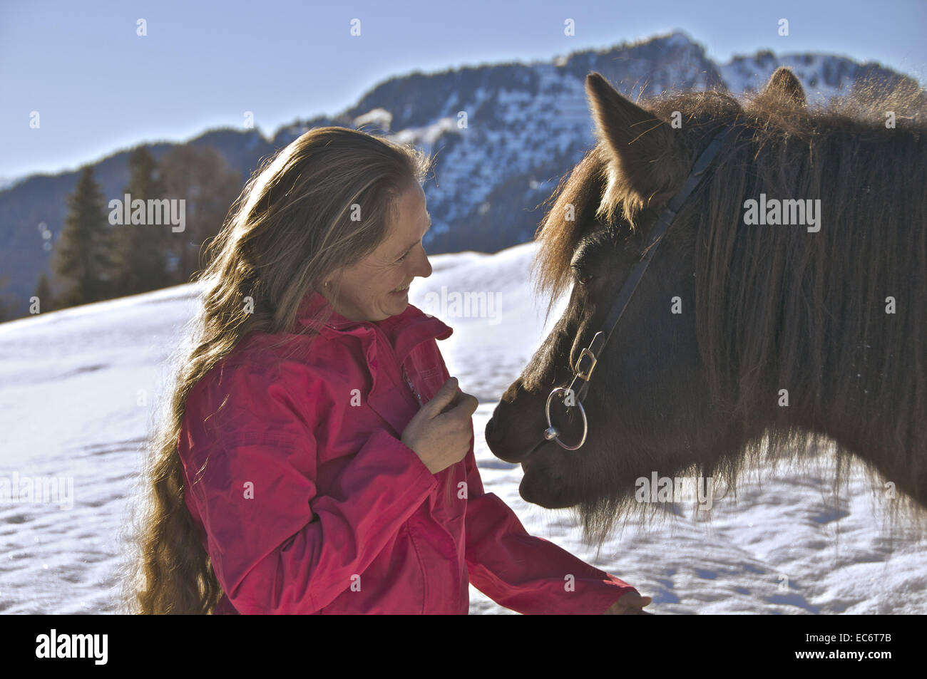 Langhaarige Frau mit Islandpferd Stockfoto