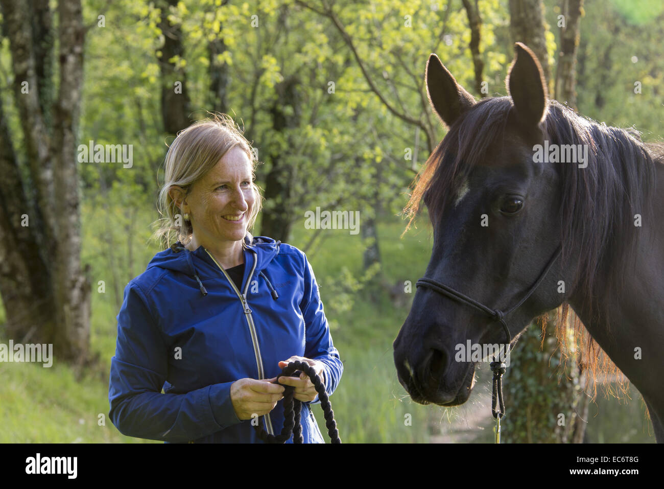 blonde Frau und schwarzen arabischen Pferdes mit einem Sonnenstrahl Stockfoto