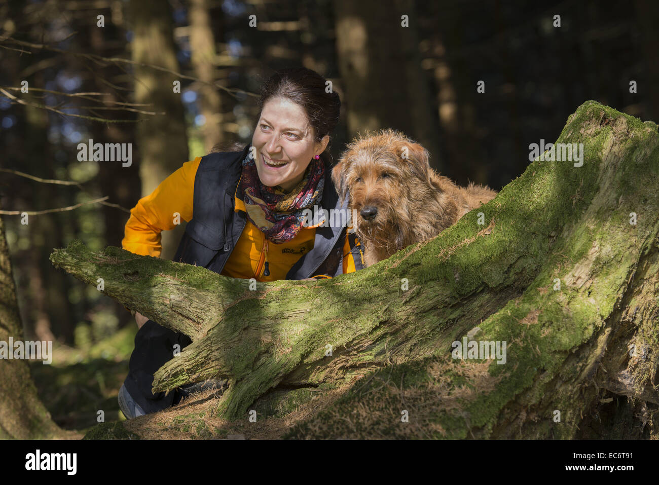 Portrtait einer jungen Frau mit Irish terrier Stockfoto