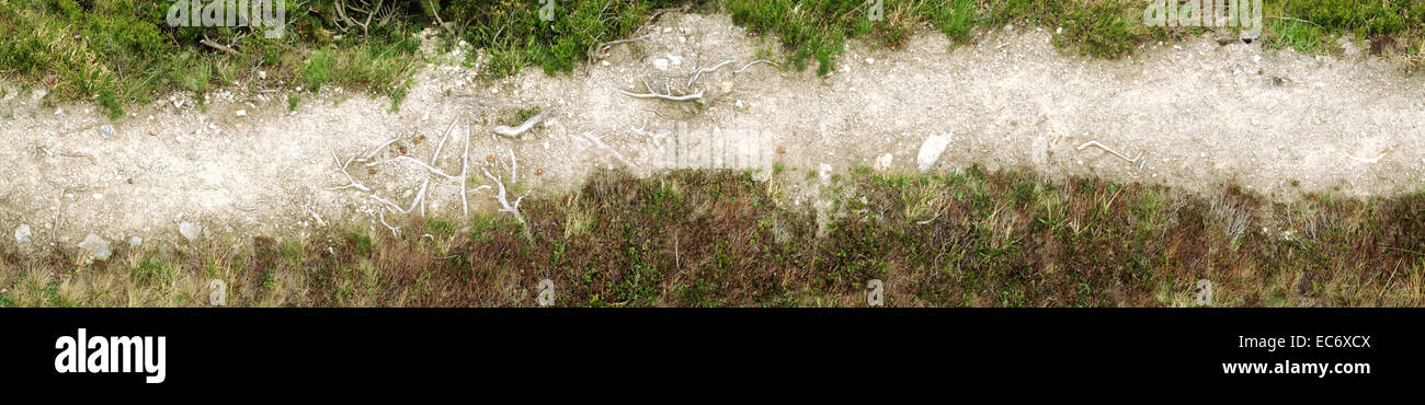 Trail in drei Farben Stockfoto