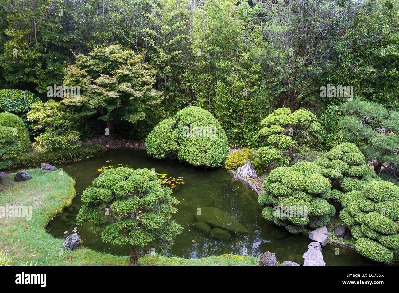 Japanese Tea Garden, Golden Gate Park, San Francisco, Kalifornien Stockfoto