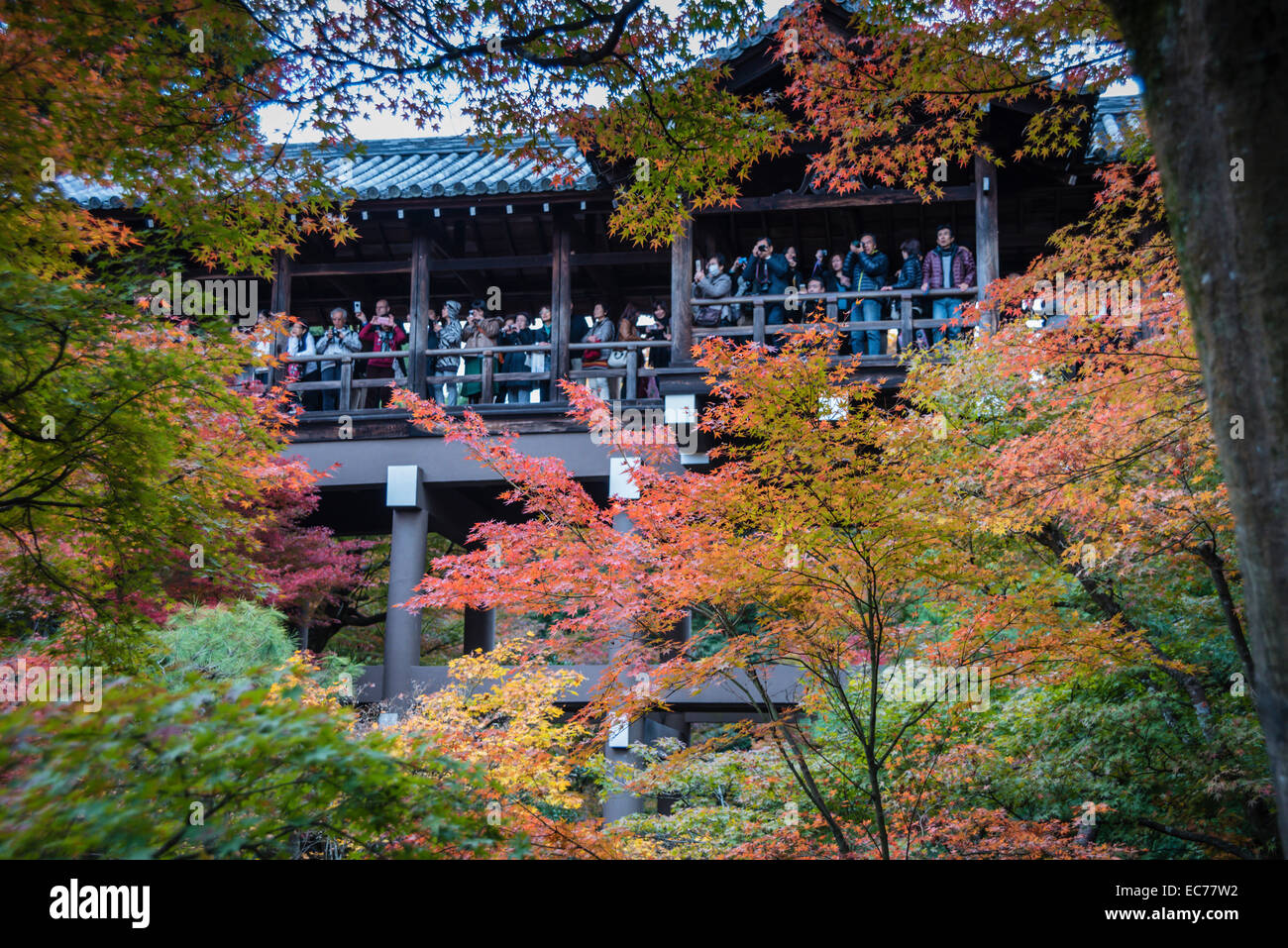 Tofuku-Ji-Tempel, Kyoto, Japan. Stockfoto