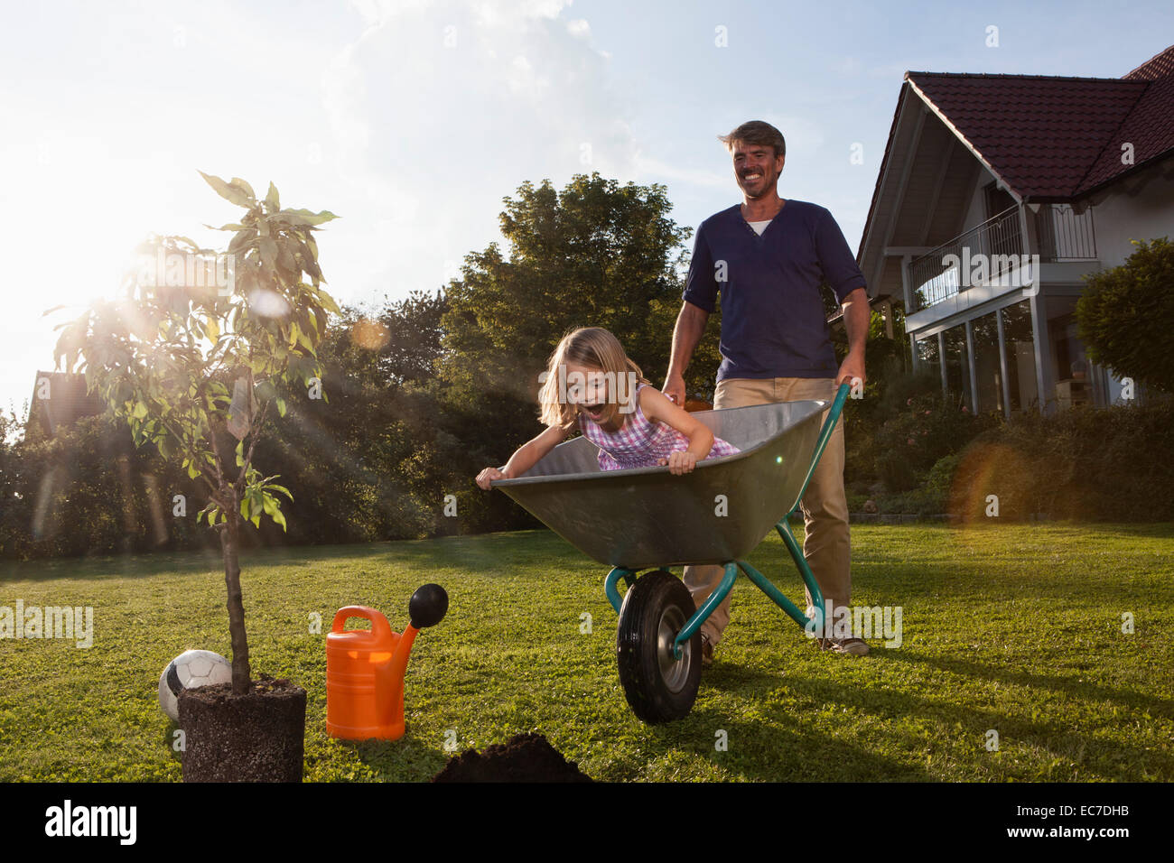 Vater Mit Tochter In Schubkarre Baum Im Garten Pflanzen Stockfoto