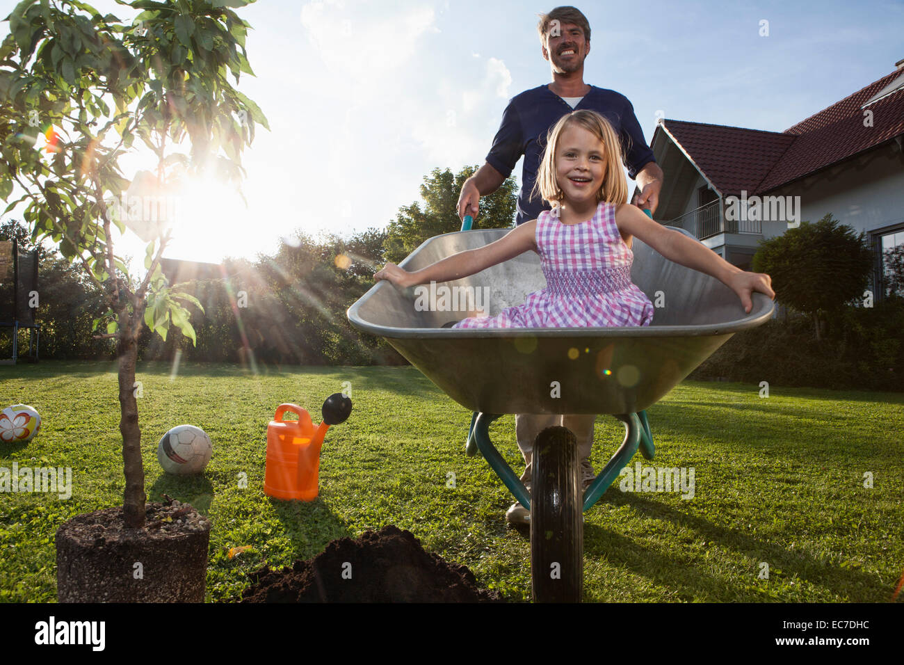 Vater Mit Tochter In Schubkarre Baum Im Garten Pflanzen Stockfoto