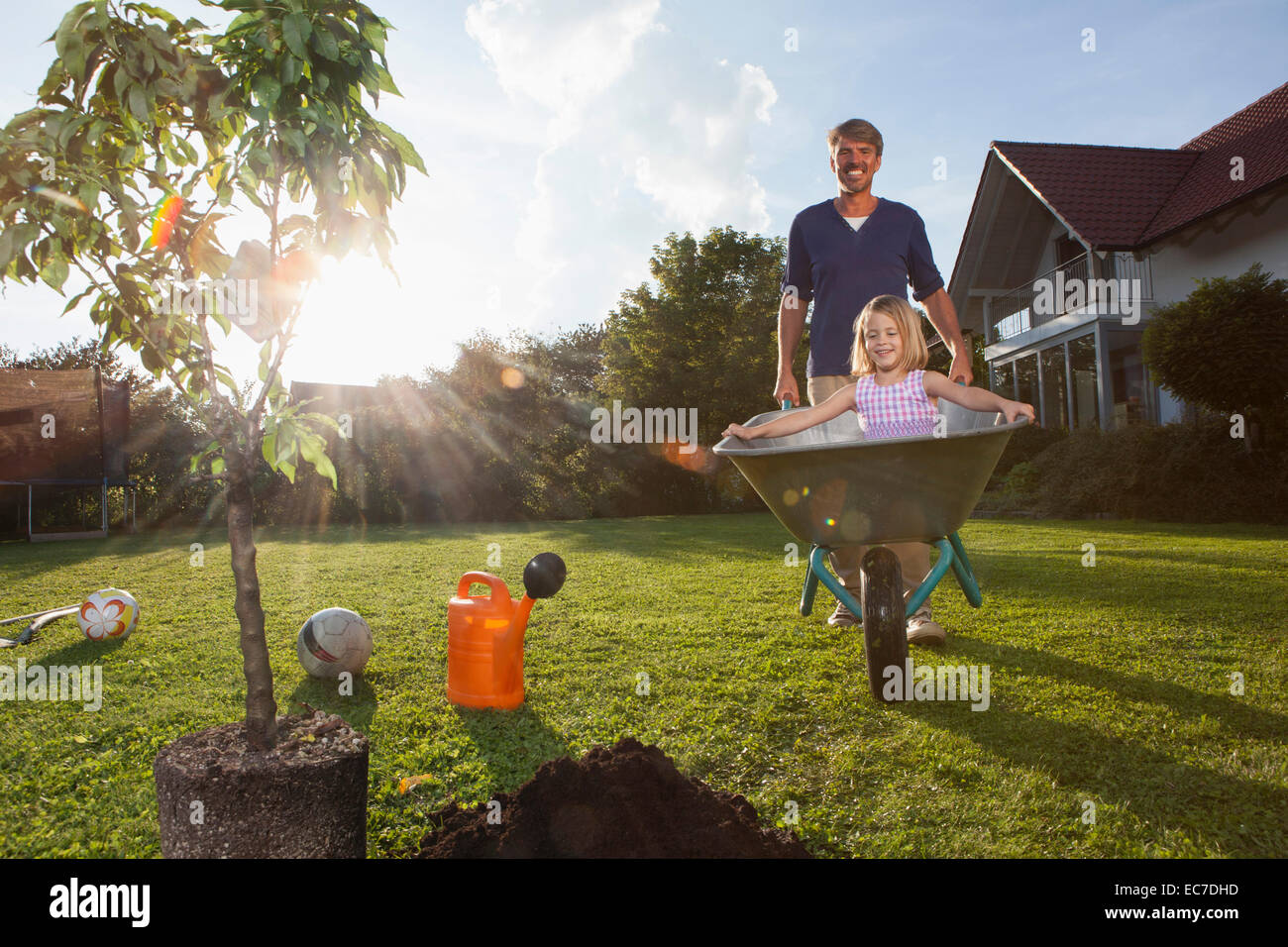 Vater Mit Tochter In Schubkarre Baum Im Garten Pflanzen Stockfoto