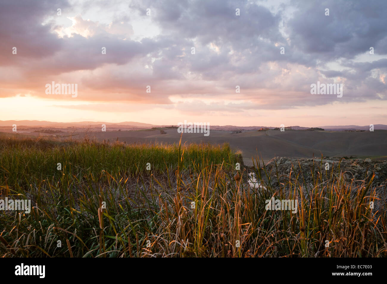 Italien, Toskana, Provinz Siena, Crete Senesi Landschaft bei Sonnenuntergang Stockfoto