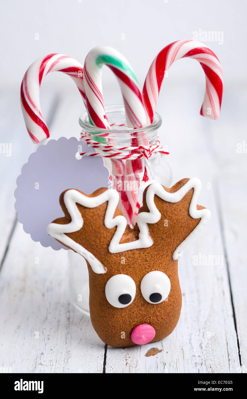 Glas mit Zuckerstangen und einem Lebkuchen-Elch auf weißem Holz Stockfoto