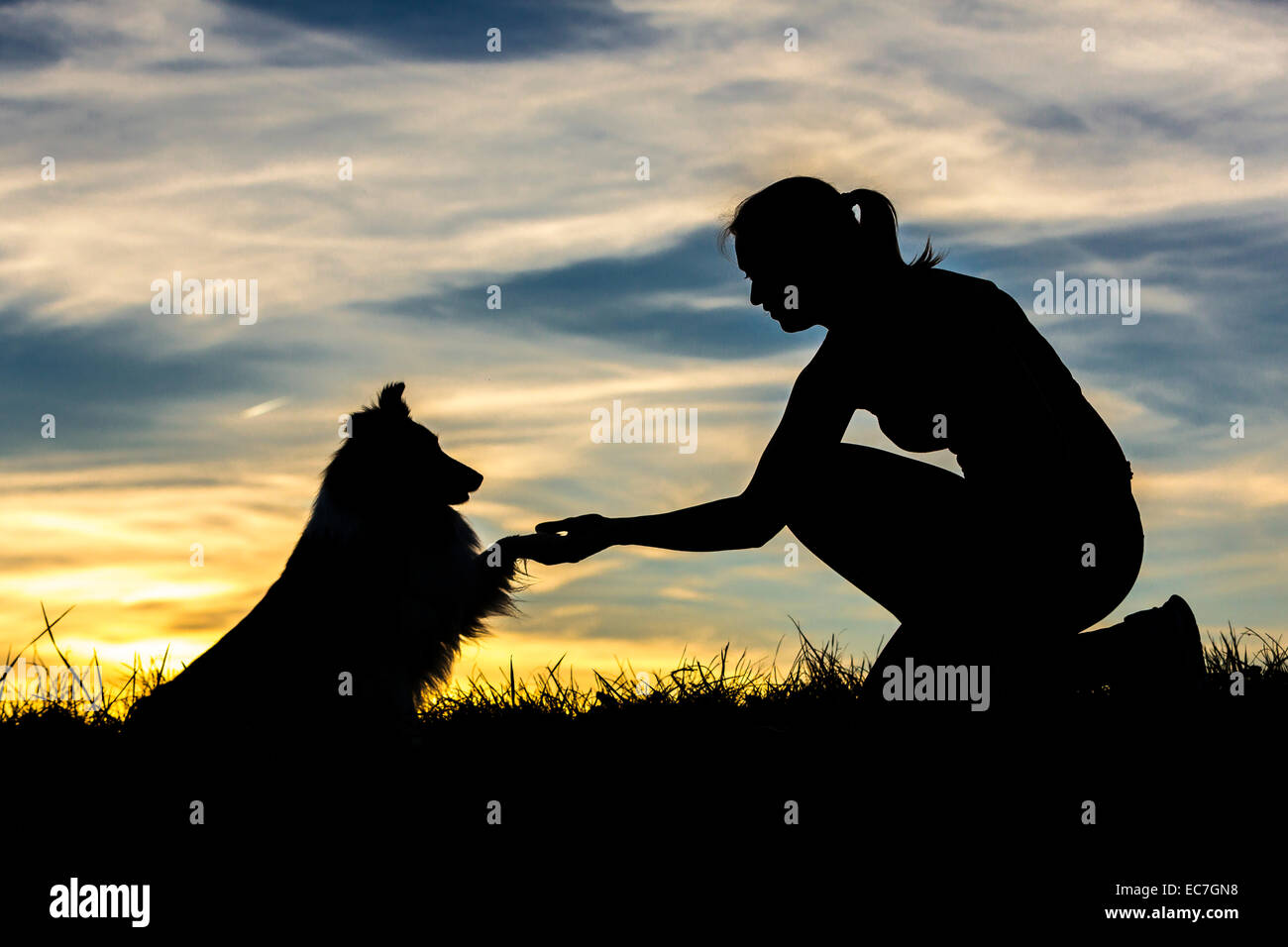 Deutschland, Frau mit Hund, Silhouetten bei Sonnenuntergang Stockfoto