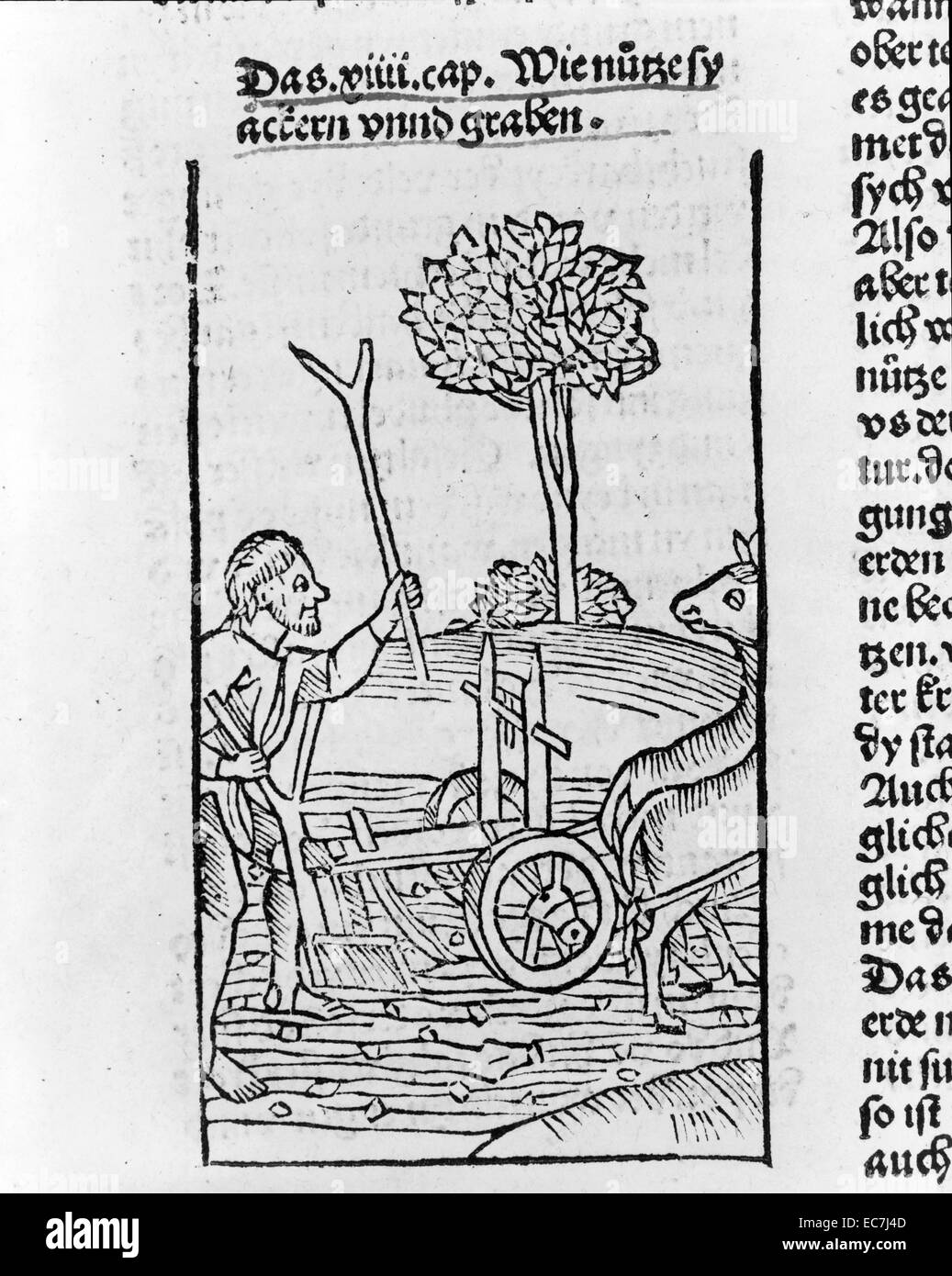Holzschnitt zeigt einen Bauern Pflügen eines Feldes, 1287 von Pietro de' Crescenzi. Eine Bolognese jurist Es gibt viele verschiedene Schreibweisen von seinem Namen und er ist am besten für seine Schriften über Gartenbau und Landwirtschaft erinnert. Stockfoto