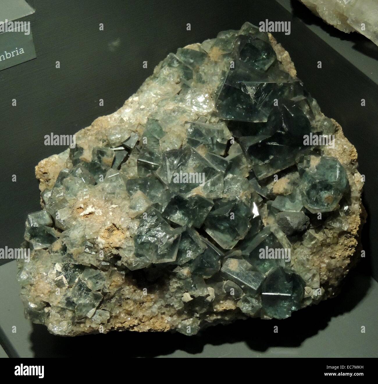 Flurite (auch genannt Flussspat) ist das Mineral Form von Calciumfluorid.  Es gehört zu den Halide Mineralien. Stockfoto