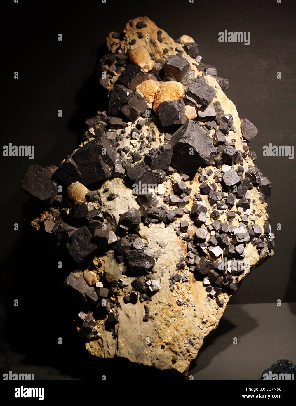 Galena, von Oklahoma, USA, auch als lead Blick, ist das natürliche Mineral Form von Blei(II)Sulfid. Es ist das Wichtigste Erz von führen und eine wichtige Quelle von Silber. Stockfoto