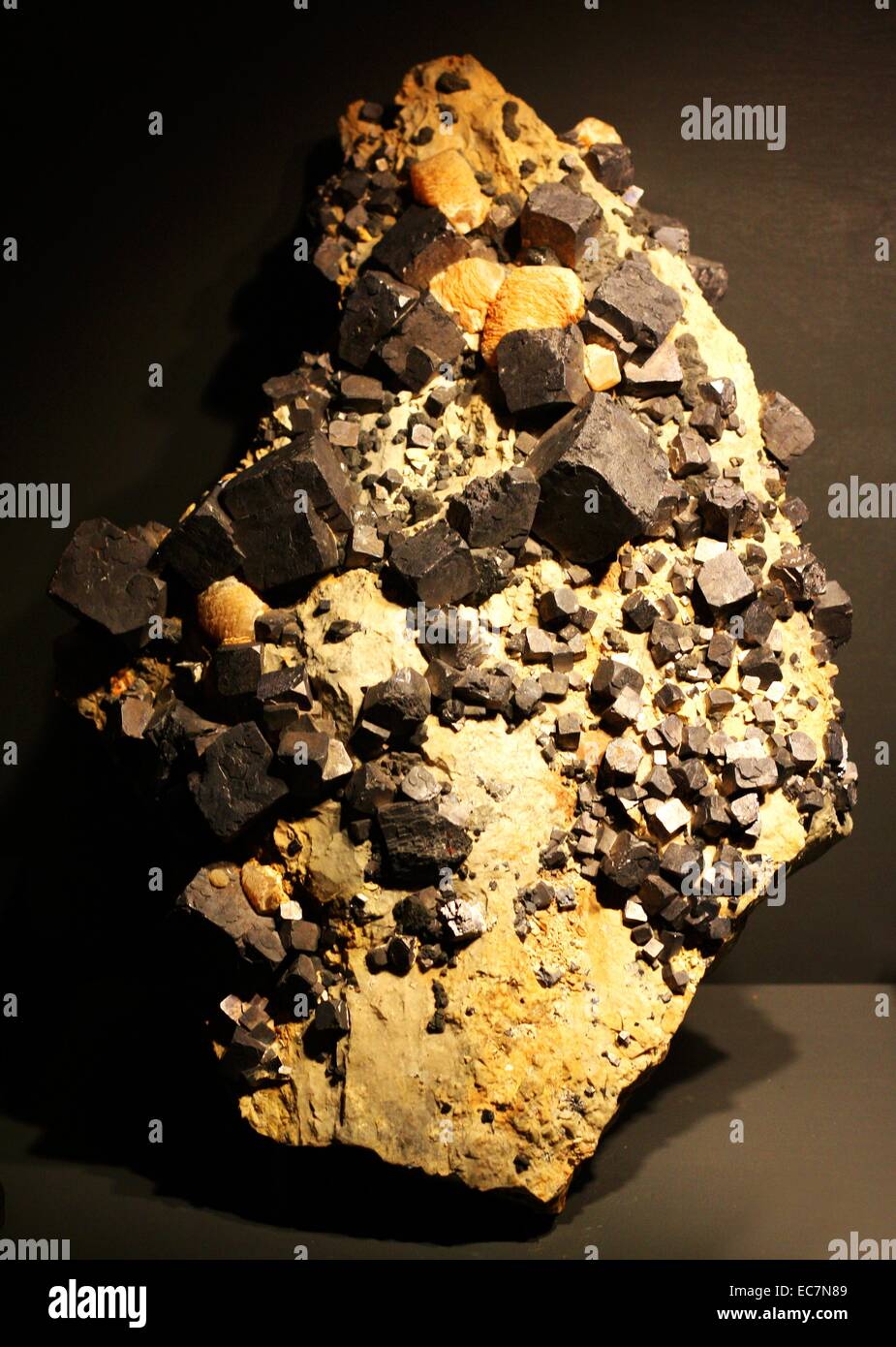 Galena, von Oklahoma, USA, auch als lead Blick, ist das natürliche Mineral Form von Blei(II)Sulfid. Es ist das Wichtigste Erz von führen und eine wichtige Quelle von Silber. Stockfoto