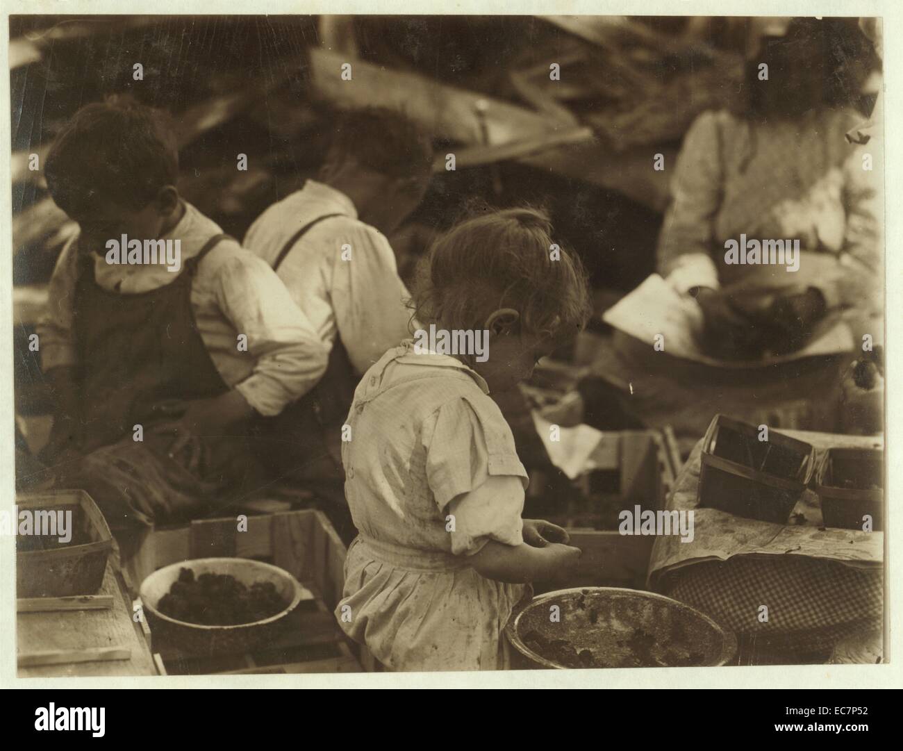 3-jähriges Mädchen und 2 jungen Beeren auf Johnsons Canning Camp, Seaford, Delaware schälen. Stockfoto