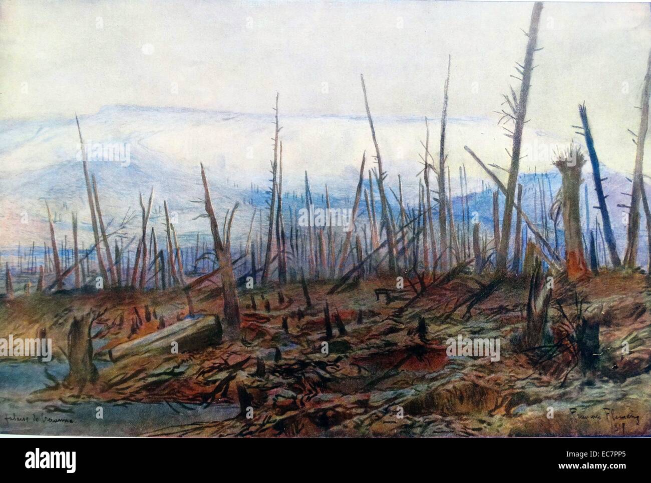 Wald bei Craonne, Frankreich zerstört während der Schlachten im ersten Weltkrieg tobt Stockfoto