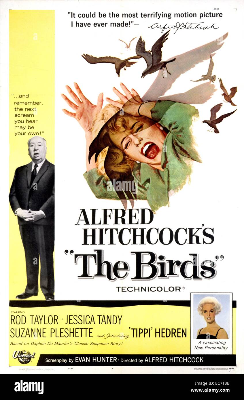 Die Vögel ist ein 1963 Thriller / Horror Film von Alfred Hitchcock, lose auf der Grundlage der 1952 Geschichte "Die Vögel" von Daphne Du Maurier. Es zeigt Bodega Bay, Kalifornien, das ist, plötzlich und auf unerklärliche Gründe, Gegenstand einer Reihe von weit verbreiteten und gewaltsamen Vogel Angriffe im Laufe von ein paar Tagen. Stockfoto