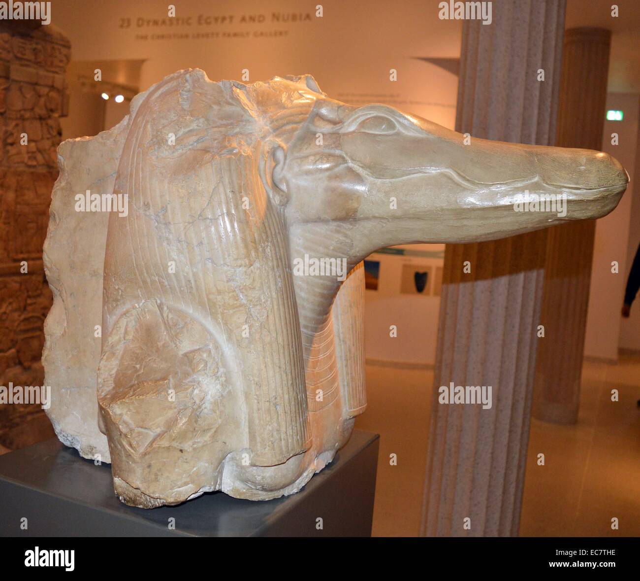 Fragment einer Kalkstein Statue (Schnauze wiederhergestellt) des obersten Gottes des Fayum, das Krokodil - vorangegangen Sobek. Die Statue stammt aus dem Totentempel von Amenemhat III, zu seiner Pyramide angehängt an Hawara. Stockfoto