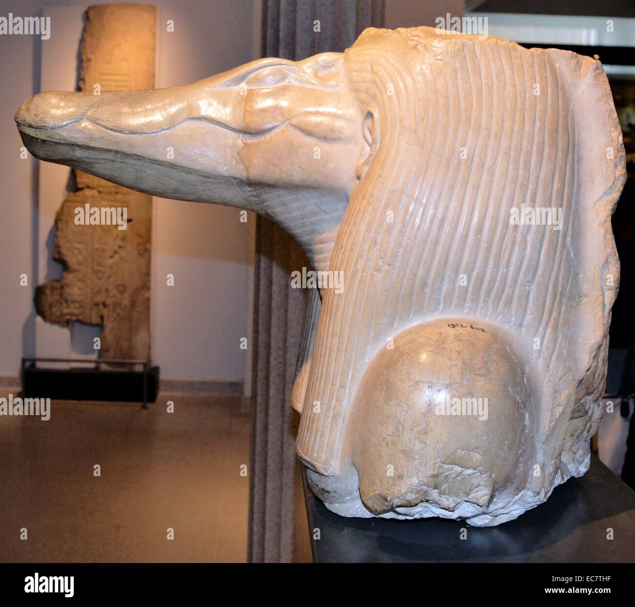 Fragment einer Kalkstein Statue (Schnauze wiederhergestellt) des obersten Gottes des Fayum, das Krokodil - vorangegangen Sobek. Die Statue stammt aus dem Totentempel von Amenemhat III, zu seiner Pyramide angehängt an Hawara. Stockfoto