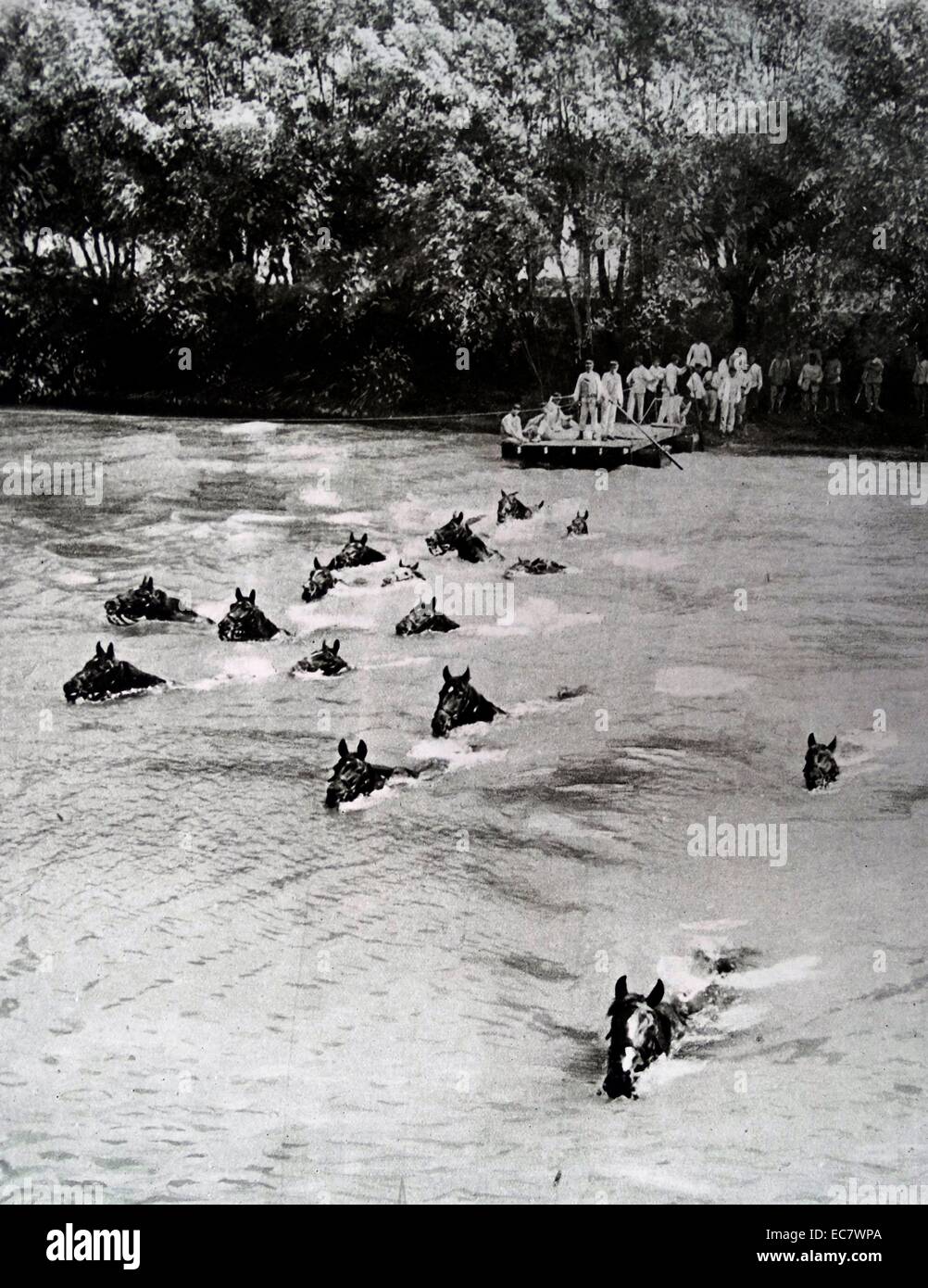 Französischen Ingenieure ermöglicht die Überquerung des Soldaten und Pferde über einen Fluss während Weltkrieges einer Stockfoto
