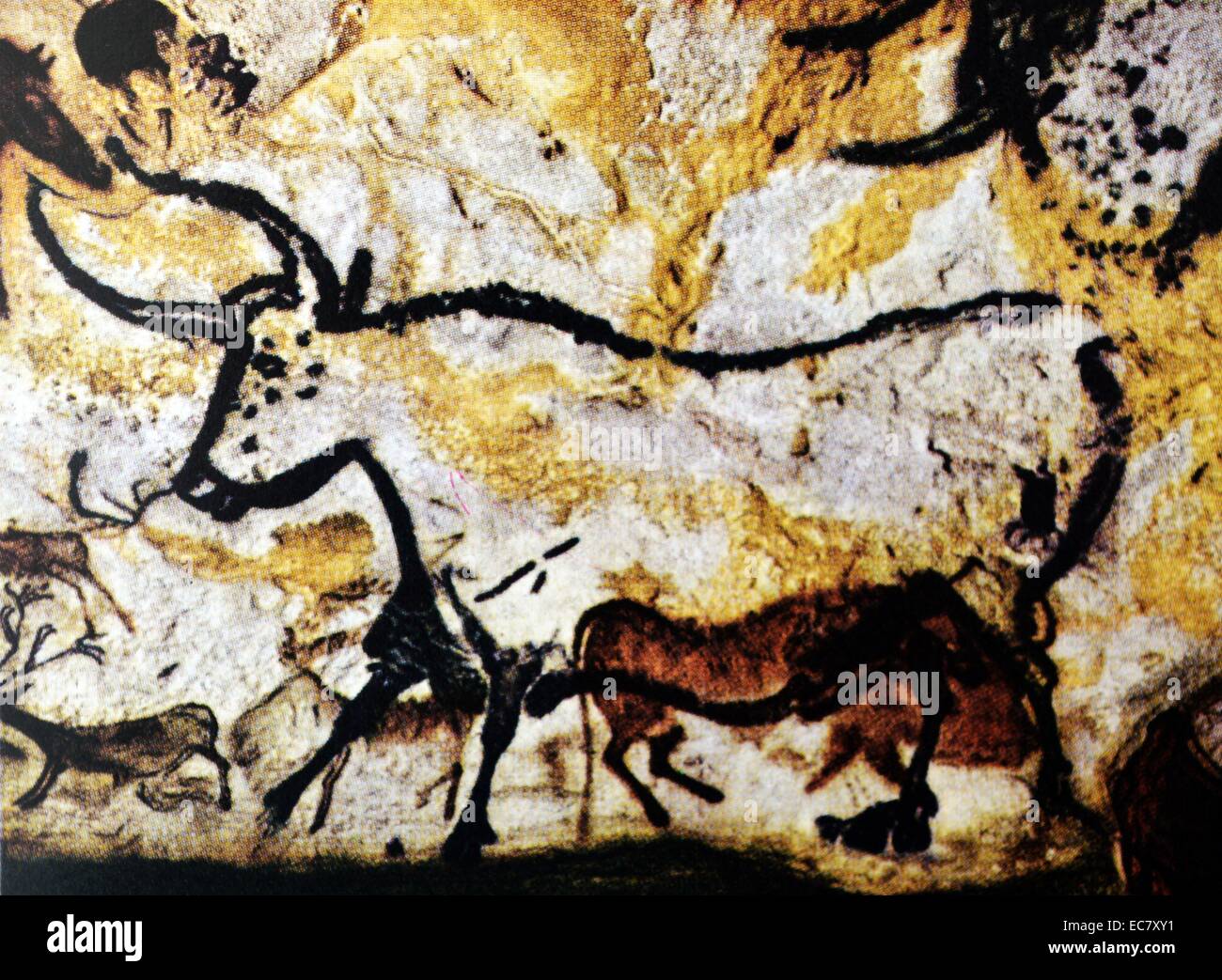 Bullen und Rinder. Detail einer Höhlenmalerei. Franco-Cantabrian, oberen Altsteinzeit, 15,000-10.000 v. Chr.. Linke Wand der Rotunde in der Grotte von Lascaux (Dordogne (, Frankreich. Die großen Bullen nach links weist, wird im Schwarzen umrissen, mit Hörnern in der doppelten Perspektive. Es war im Vergleich zu früheren Gemälde von zwei rötlich-braunen wilde Rinder, Brei in der Größe kleiner gezeichnet. Stockfoto