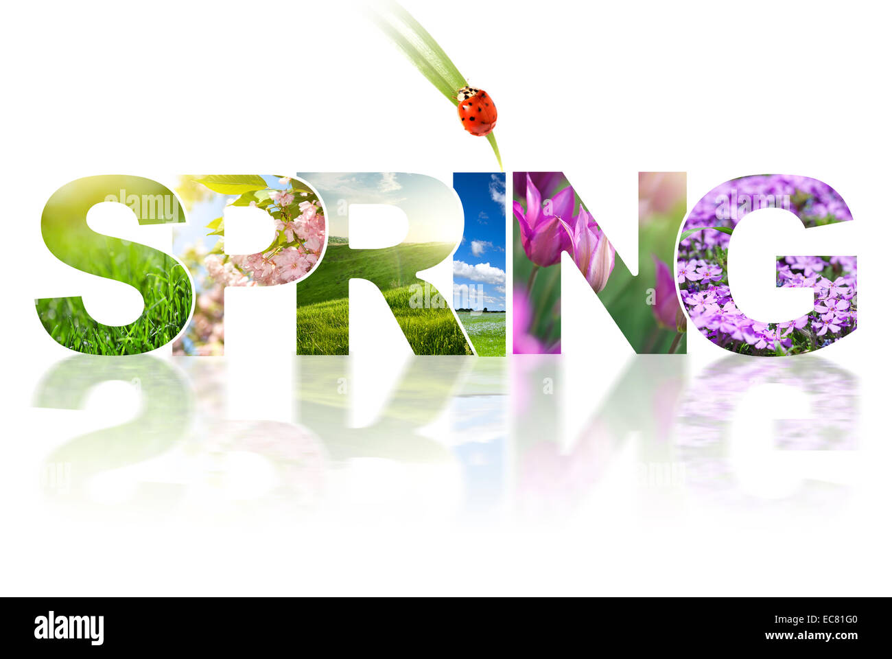 Frühling-Wort-Collage gemacht von verschiedenen Fotos isoliert auf weiss Stockfoto