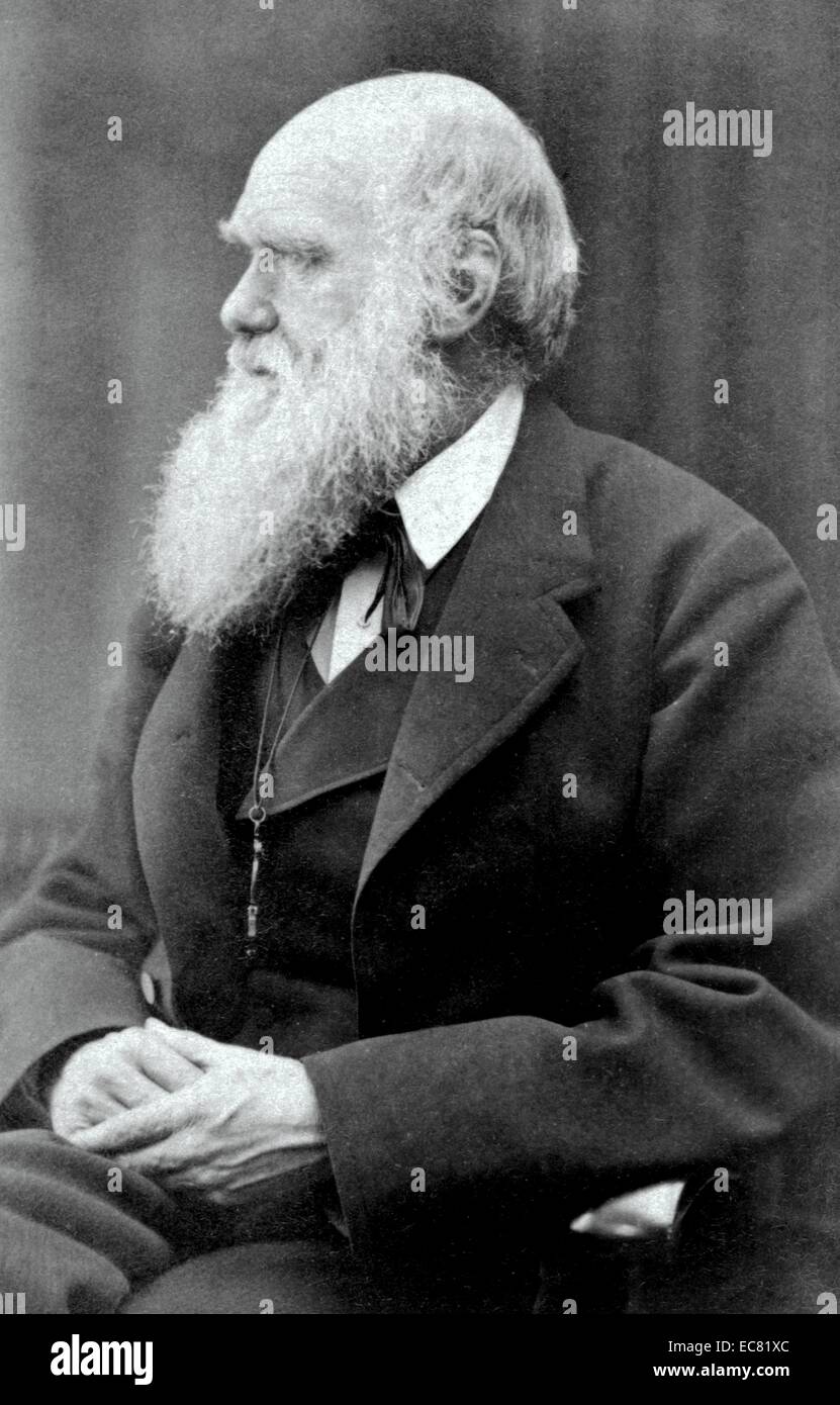 Charles Darwin, fotografiert von Oscar Gustave Rejlander. Charles Robert Darwin, 1809-1882; Englische Naturforscher und Geologe Stockfoto