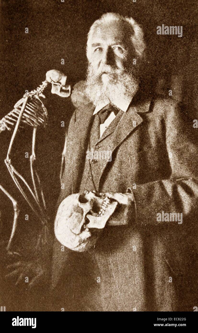 Ernst Heinrich Philipp August Haeckel (Februar 16, 1834 - August 9, 1919) war ein deutscher Naturforscher, Biologe und Arzt. Am besten für seine Entdeckung und Archivierung neuer Arten bekannt. Stockfoto