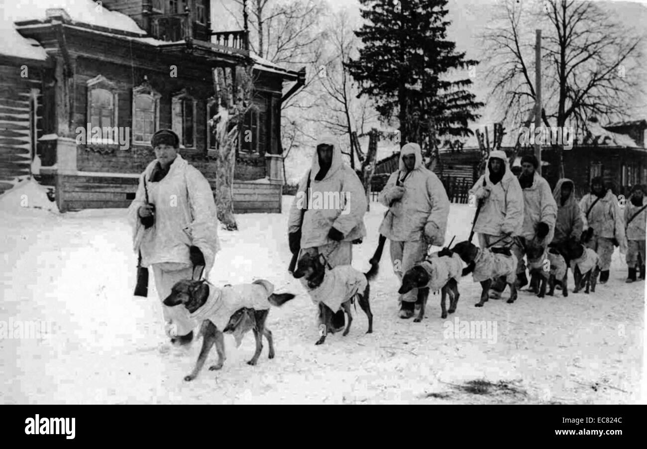 Bild zeigt die sowjetischen Soldaten mit Sprengstoff beladene Panzerabwehr: Hunde zu Fuß durch den Schnee. Während der Schlacht um Moskau, 1941. Stockfoto