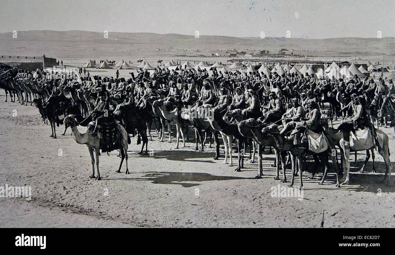 Bild zeigt osmanischen Soldaten auf Kamelen während des Ersten Weltkrieges angebracht, die Vorbereitung der Britischen Streitkräfte in Angriff zu nehmen. 1917 Palistine. Stockfoto