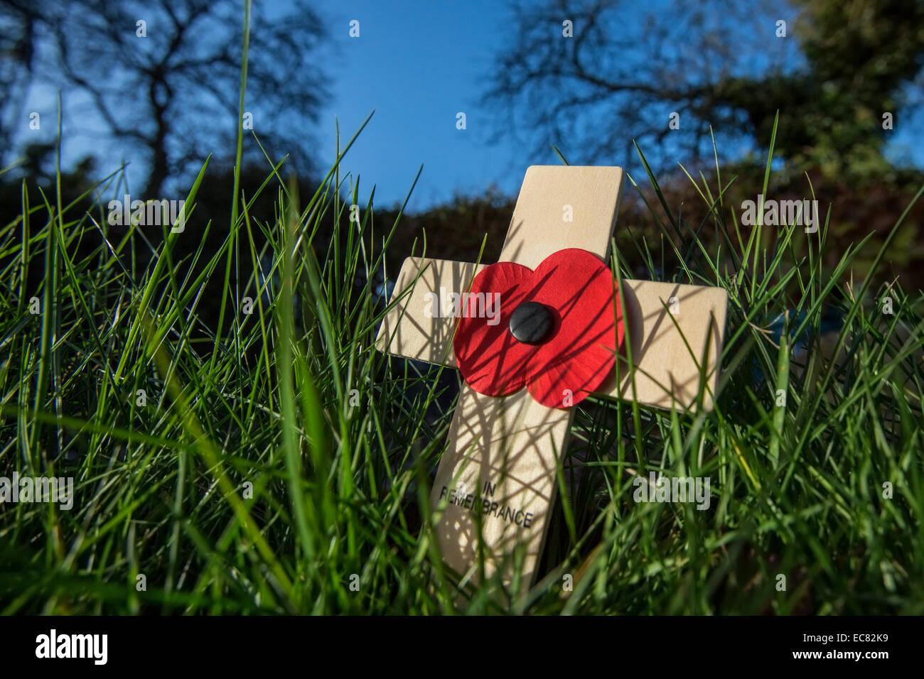 Erinnerung Kreuz Stockfoto