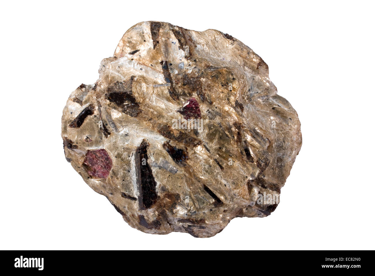 Metamorphes Gestein Schiefer mit Granat, Staurolith und Kyanit Kristalle Stockfoto