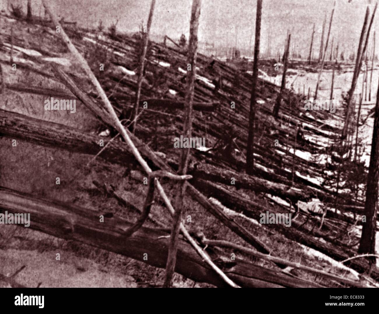 Bäume abgeflacht von 1908 Meteor strike in der Nähe von Tunguska im russischen Sibirien Stockfoto