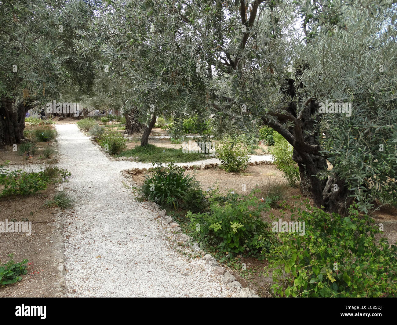 The Garden Gethsemane Stockfotos und bilder Kaufen Alamy