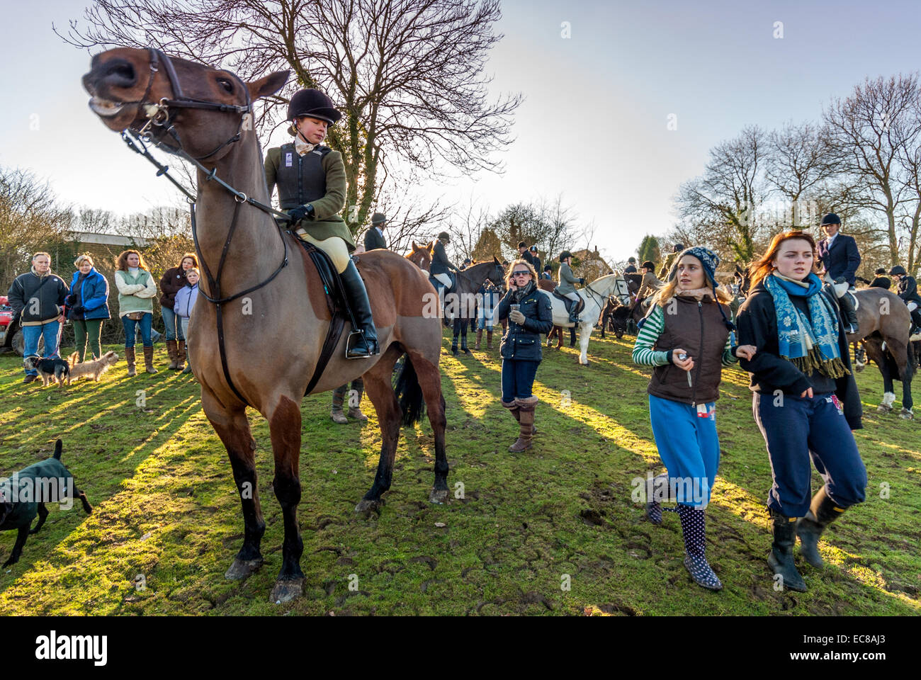 Eine Fuchsjagd in Surrey Landschaft. Stockfoto
