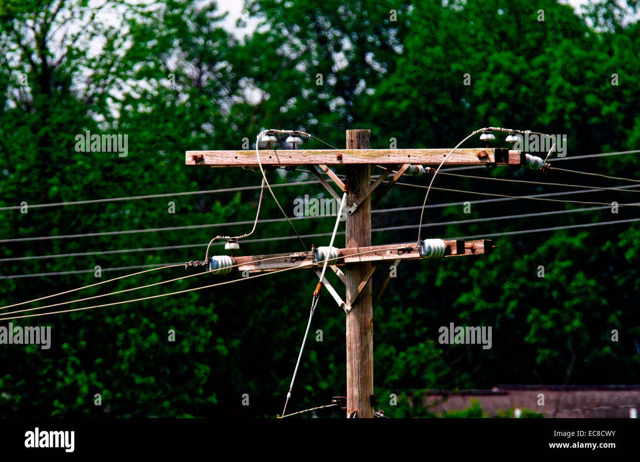 Ein Telefonmast mit Sommer Baum Laub im Hintergrund, in der Nähe der Staatsstraße 46, Bloomington, Indiana, USA. Stockfoto