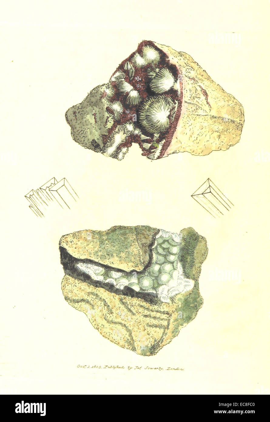 Britische Mineralogie Vol. 2 (1806) p190 T142 ARGILLA hydrata Stockfoto