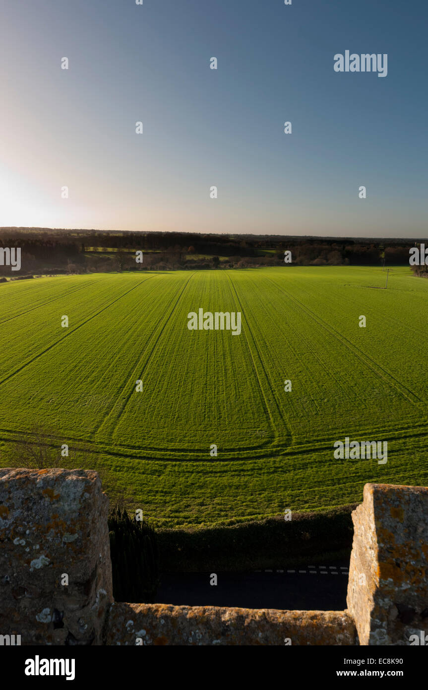 großen Ackerfläche Stockfoto